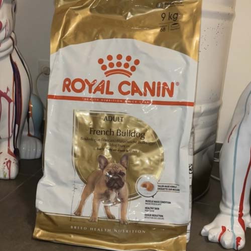 Opinión de Ophelie del pienso Royal Canin Bulldog Francés 