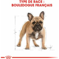 Royal Canin Breed Bouledogue Français Adulte