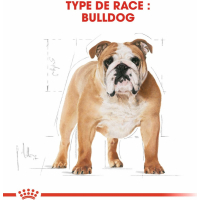 Royal Canin Breed Bulldog Anglais Adult