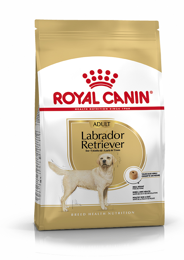 ROYAL CANIN Labrador para perros mayores de 15 meses