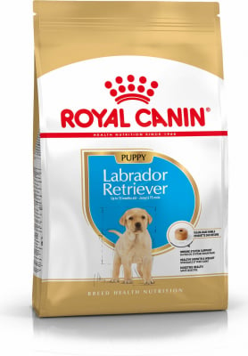 Royal Canin Breed Labrador Retriever Puppy