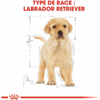 Royal Canin Breed Labrador Retriever Junior