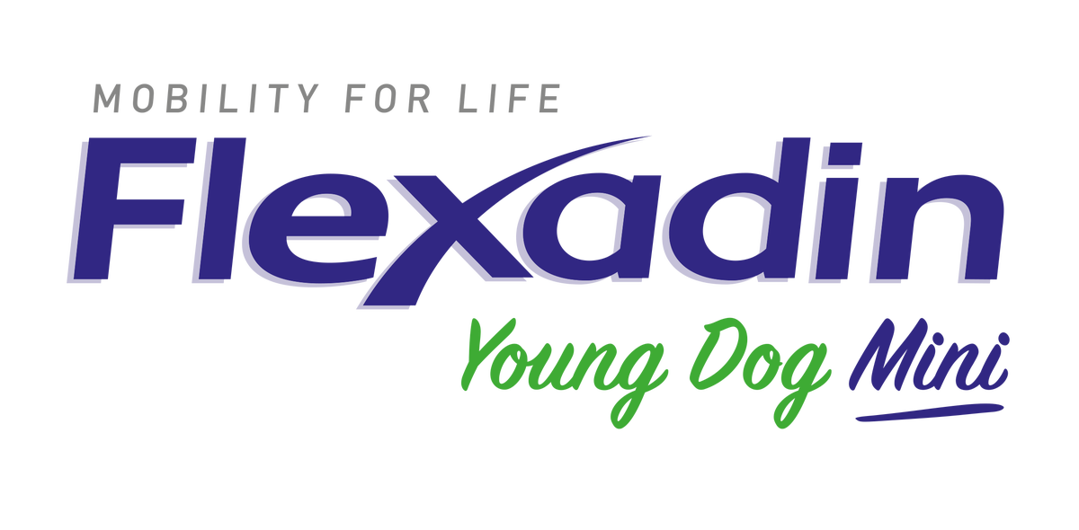 Flexadin Young dog