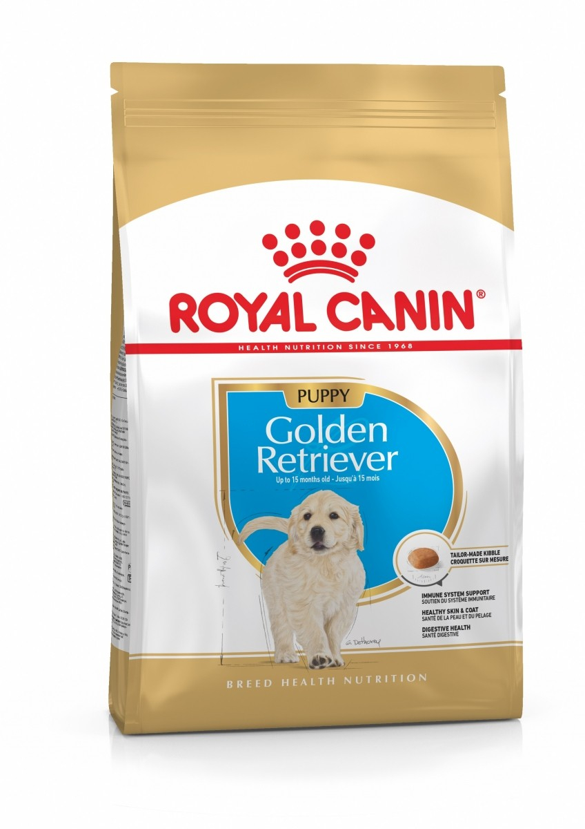 Royal Canin Breed Golden Retriever Junior Ração seca sem cereais para cachorros