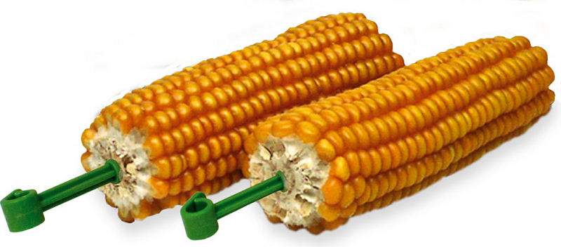Mazorcas de maíz para colgar