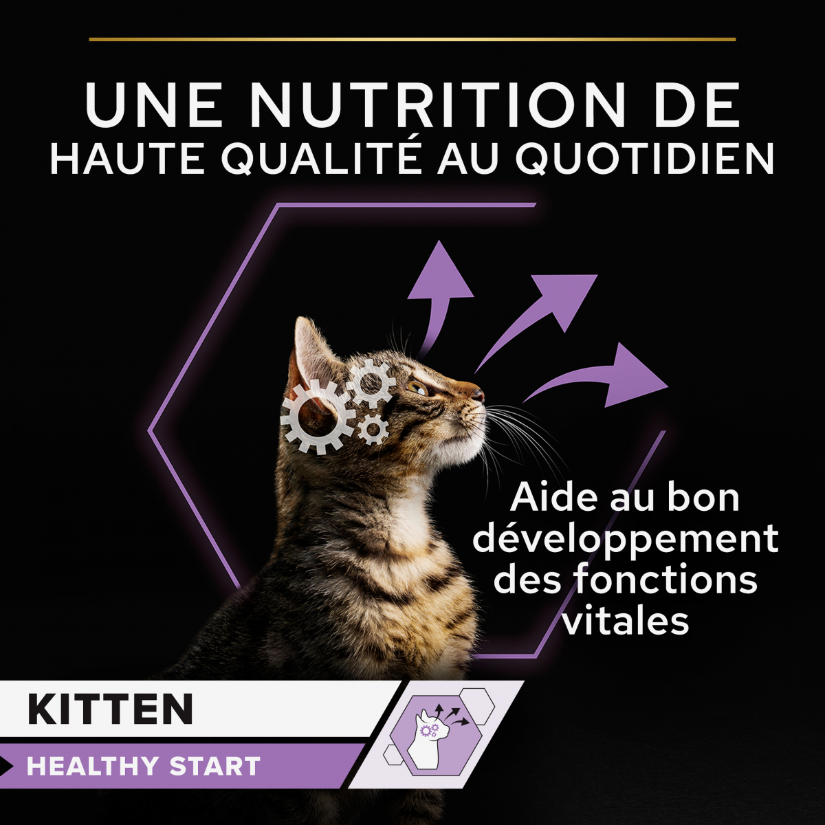 PRO PLAN Kitten Pollo Comida húmeda para gatitos - Latas de 85g