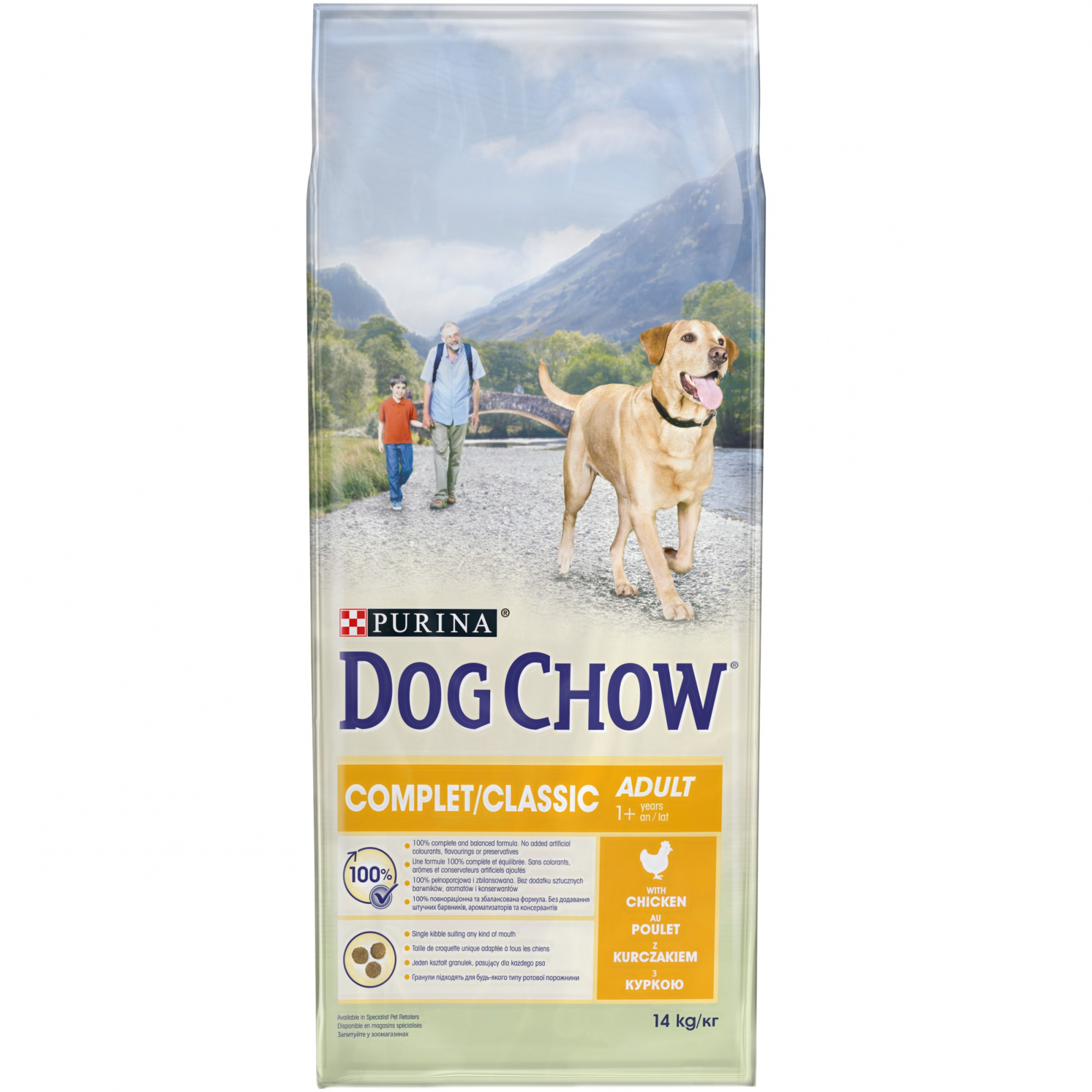 DOG CHOW Ração seca para cão com frango