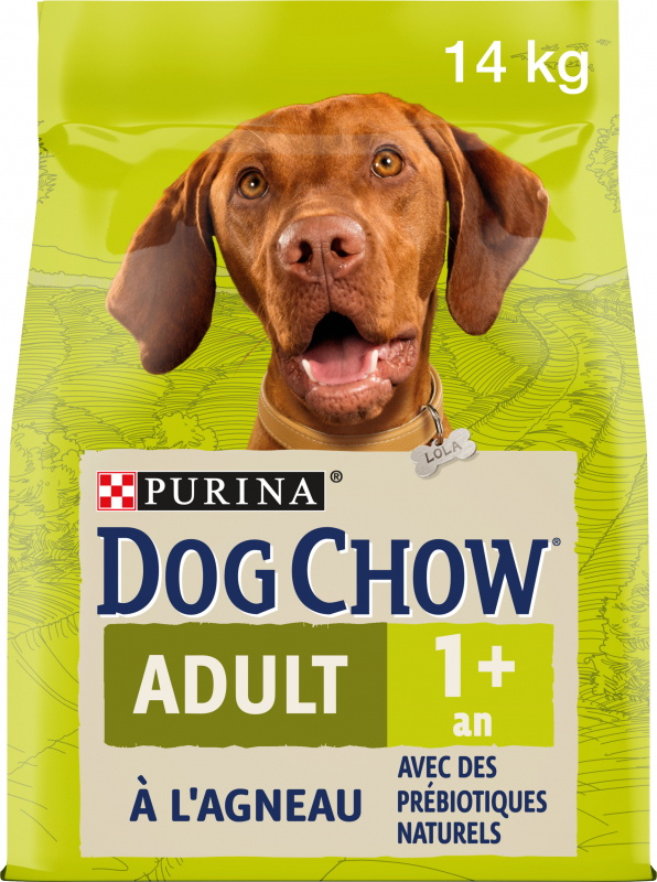DOG CHOW alimentação para cão adulto com Cordeiro e arroz