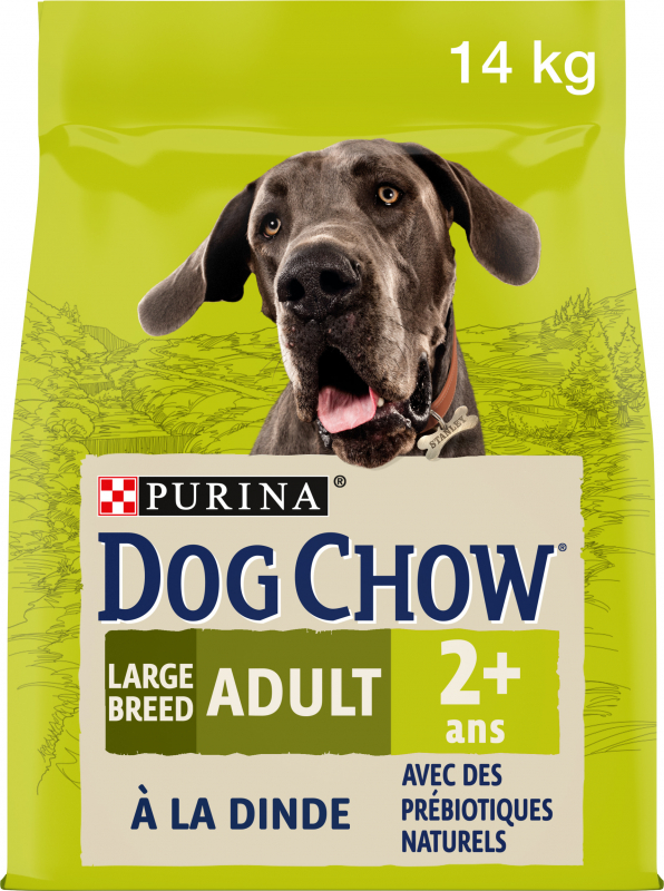 DOG CHOW para cães grande tamanho adulto com perú
