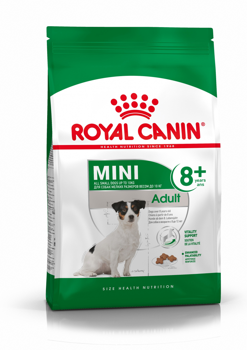 Royal Canin Mini Adult 8+ jaar