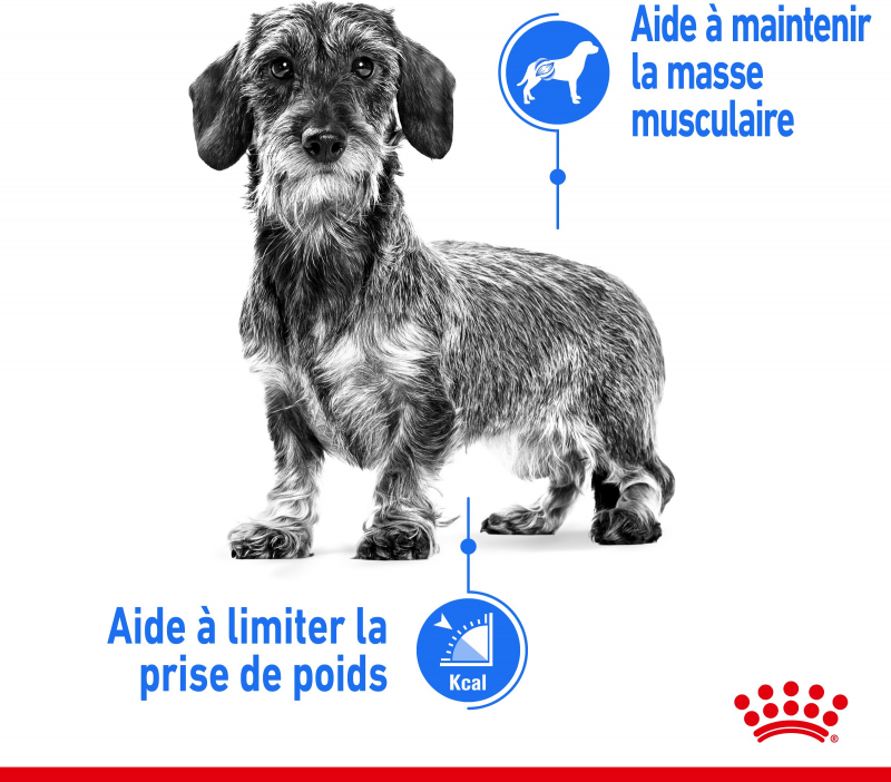 Royal Canin Mini Light Weight Care petit chien en embonpoint
