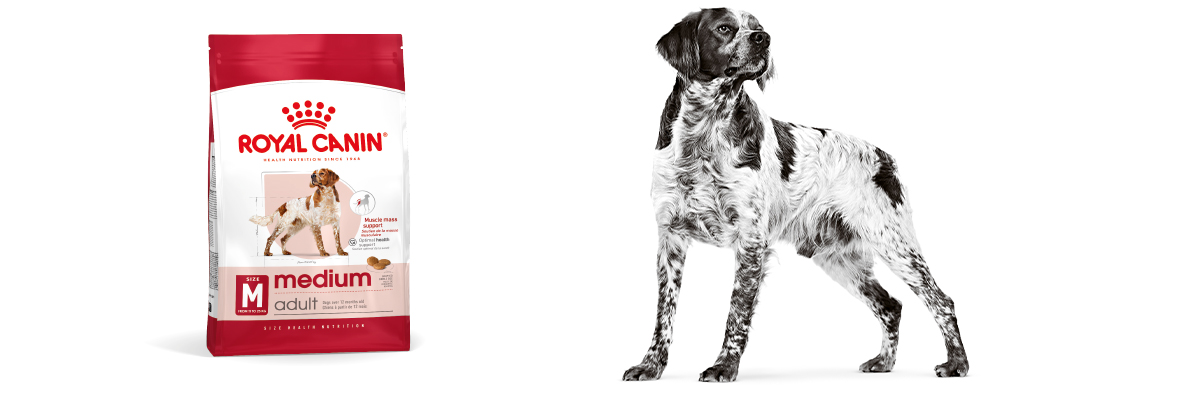 Katze und Hund Royal Canin