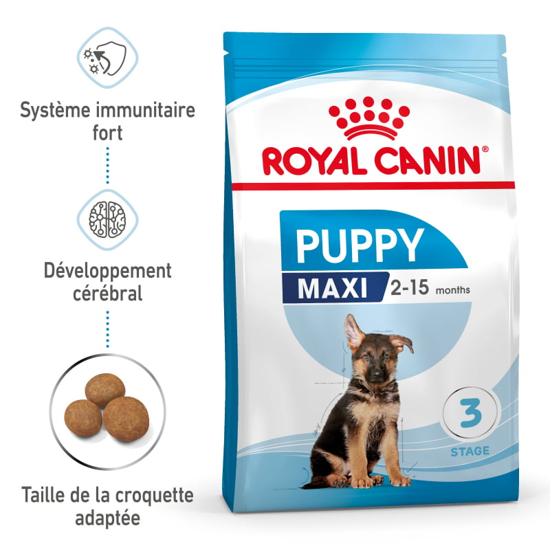 ROYAL CANIN Puppy Maxi pour grand chiot de 2 à 15 mois