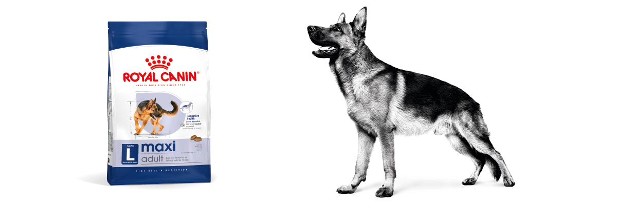 Royal Canin Maxi