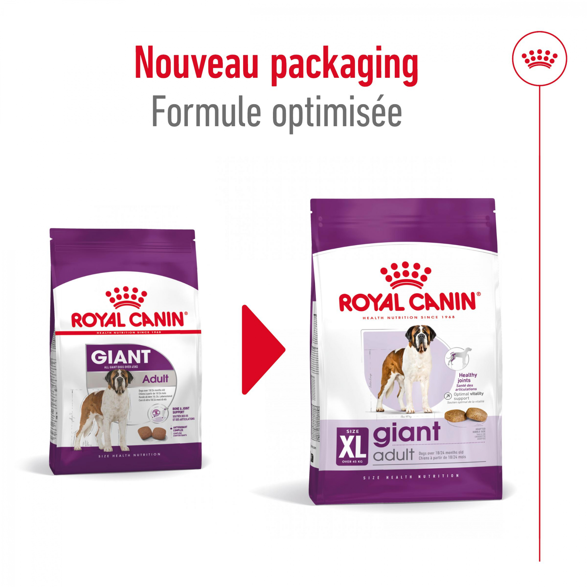 ROYAL CANIN GIANT ADULTE