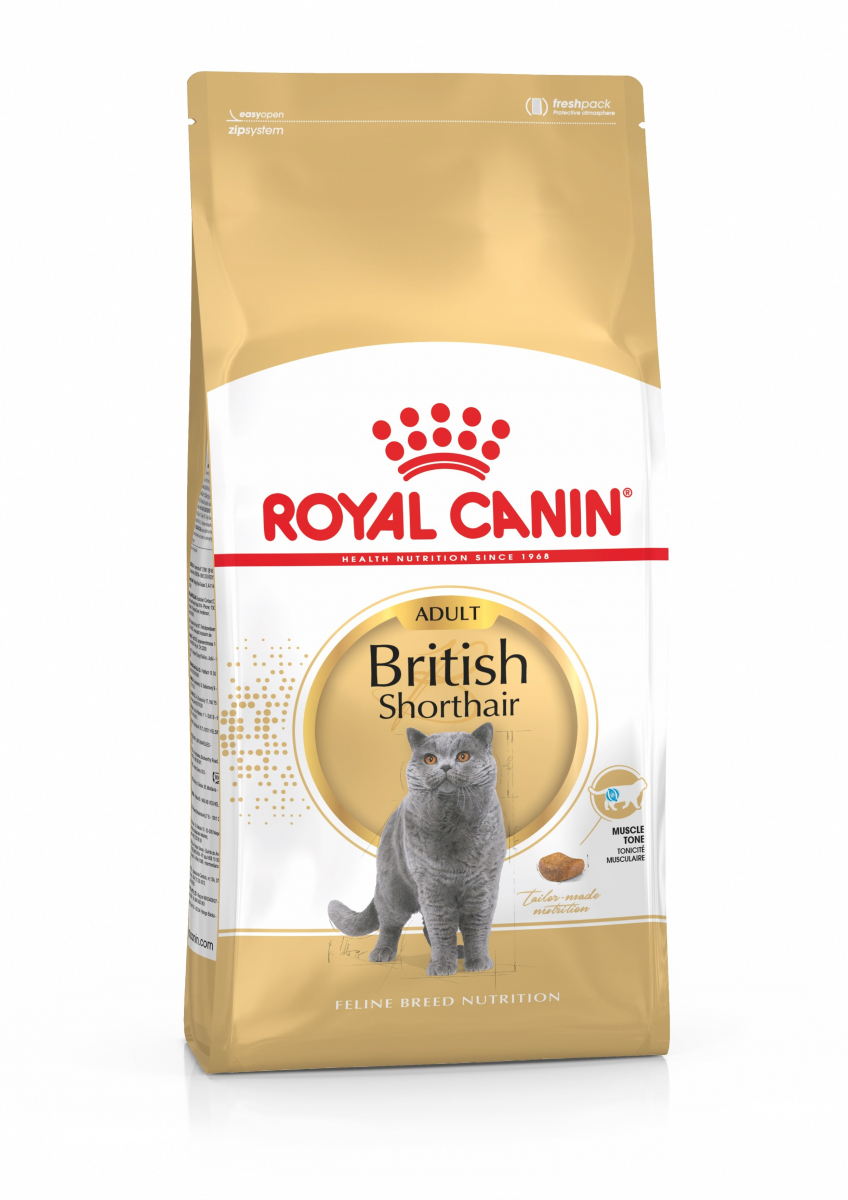 Royal Canin Breed British shorthair Adult