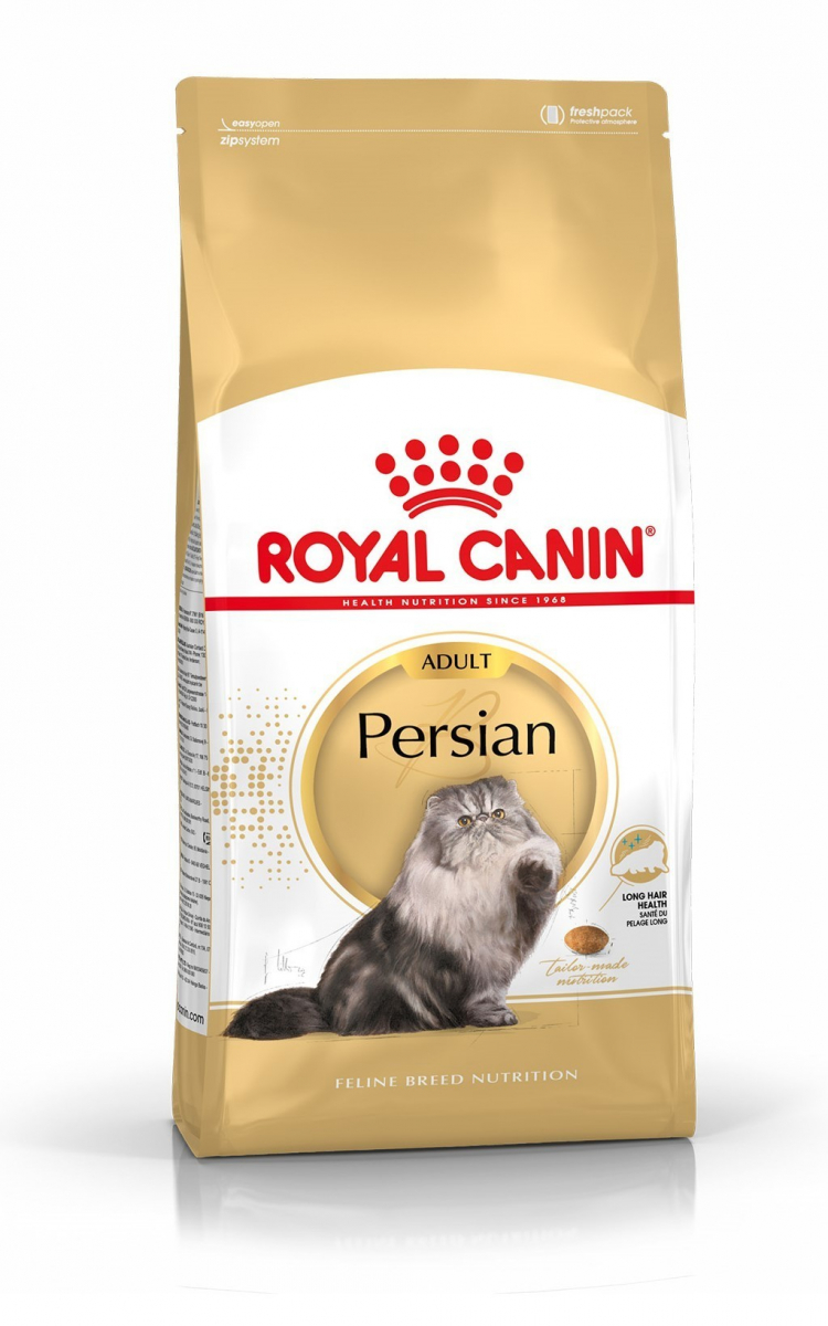 interview dialect Civic Royal Canin Breed Persian