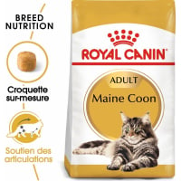 Royal Canin Maine Coon chat à partir de 15 mois