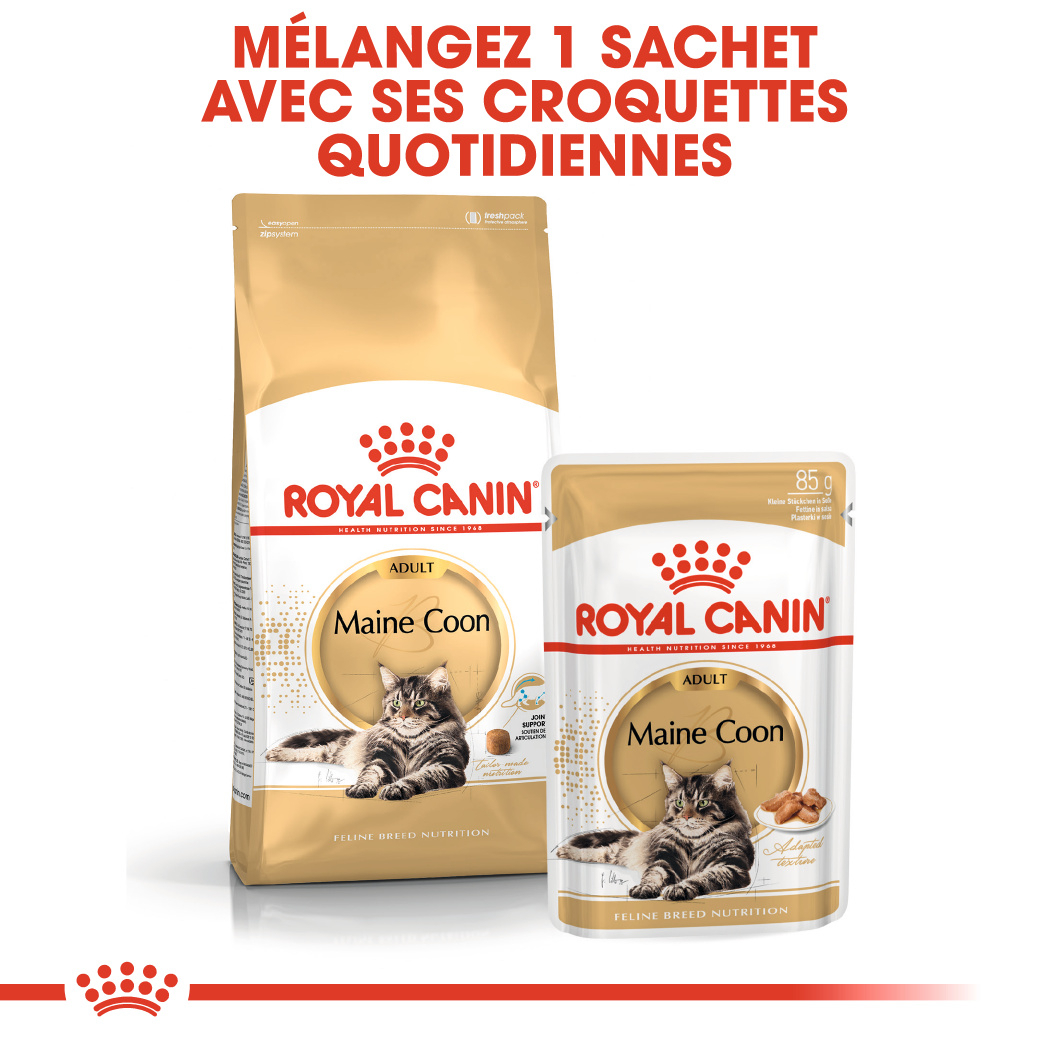 Royal Canin Breed Maine Coon