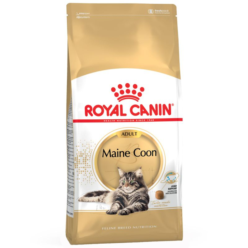 Royal Canin Maine Coon gatos a partir de 15 meses