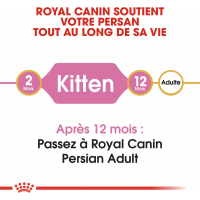 Royal Canin Breed Persian Kitten