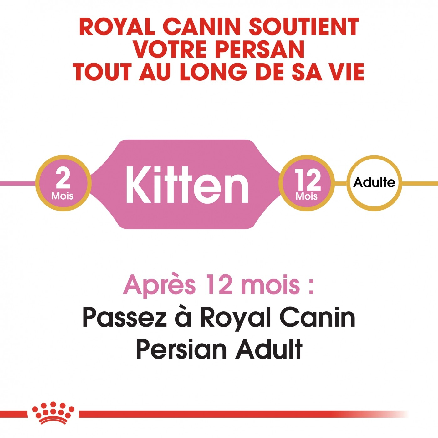 Royal Canin Kitten Persian Pienso para gatitos persas