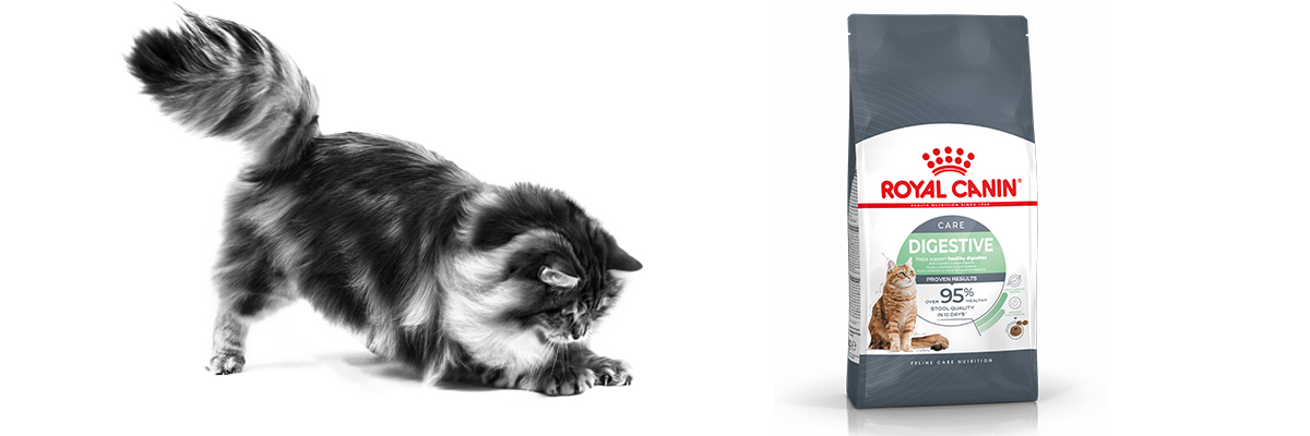 Banner Royal Canin Digestive Care