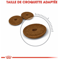 ROYAL CANIN Chat Adulte Digestive Care