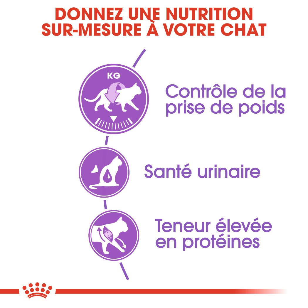 ROYAL CANIN Sterilised 37 para gato adulto esterilizado de 1 a 7 años