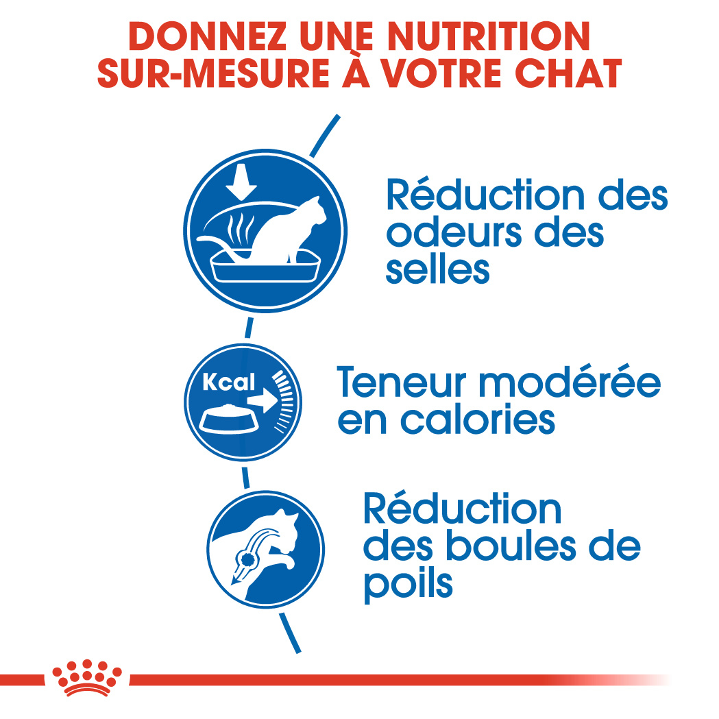 ROYAL CANIN Indoor 27 für Wohnungskatzen von 1 bis 7 Jahren