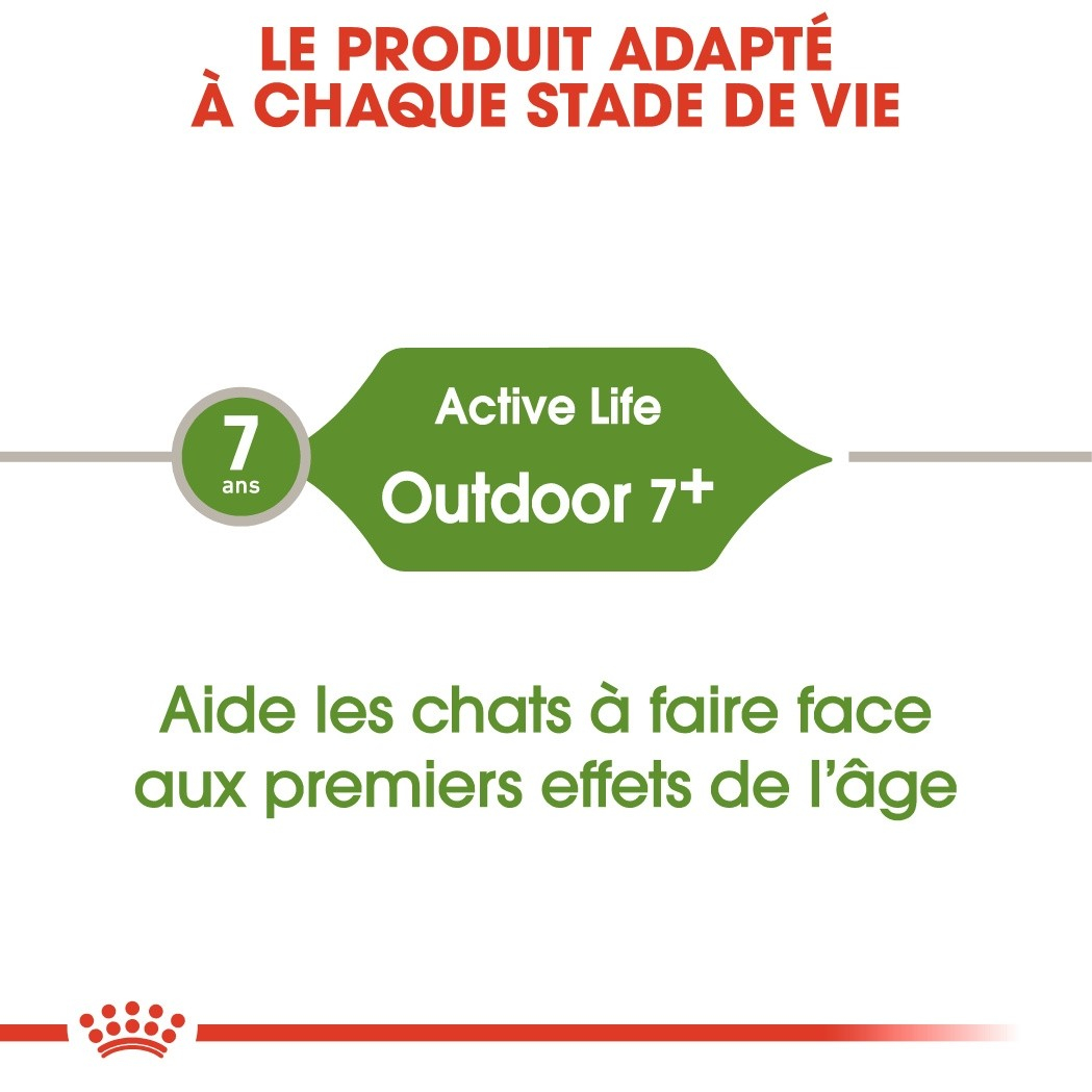 Royal Canin Active Life Outdoor Adulte 7+ 