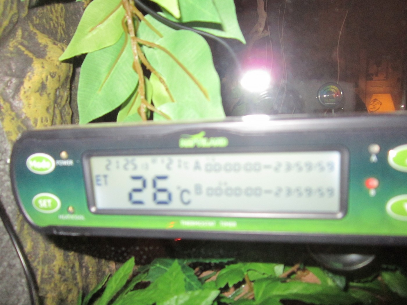 Thermostat digital Trixie Reptiland