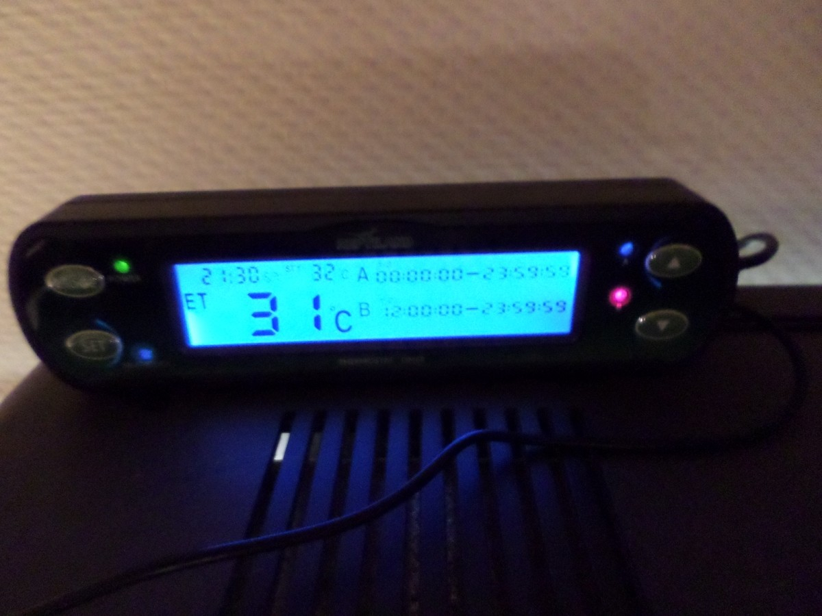 Digitales Thermostat für Terrarien 76127 von TRIXIE günstig