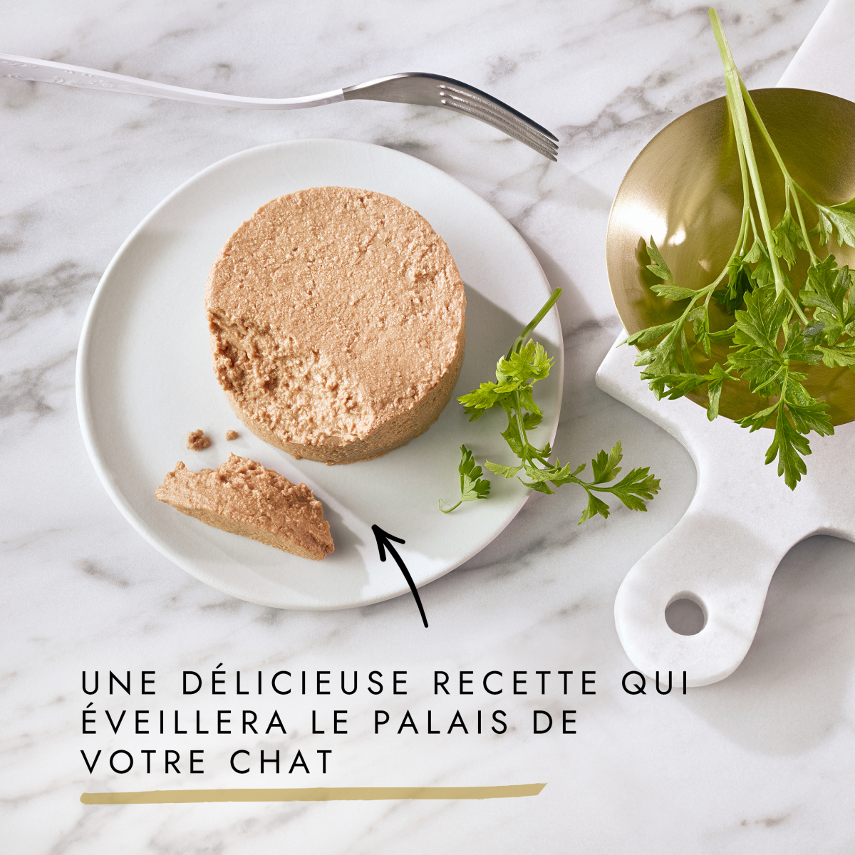 Gourmet - Boîte Gold Les Mousselines pour Chat - 12x85g