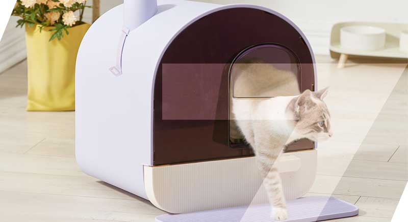 maison de toilette design nuuk zolia pour chat
