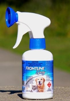 lippen meteoor Transplanteren FRONTLINE Spray tegen vlooien en teken bij honden en katten