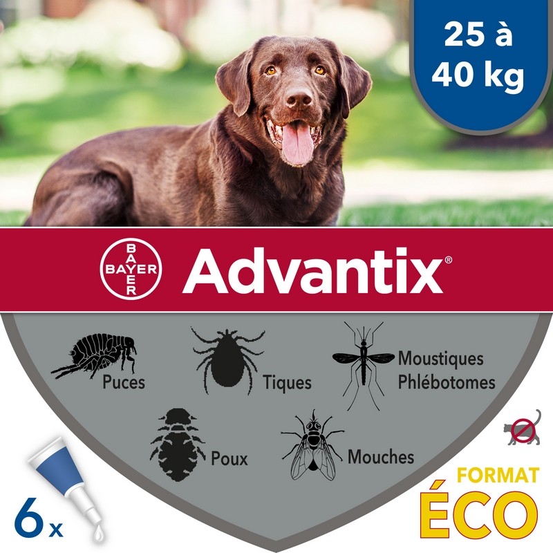 Antiparasiten Pipette Advantix für Hunde