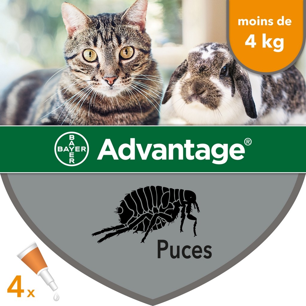 ADVANTAGE Pipetas antipulgas para gatos y conejos
