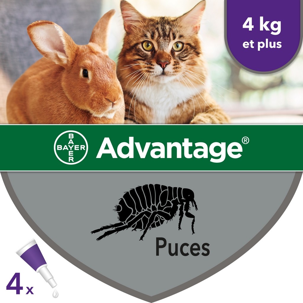 Advantage Pipettes anti-puces pour chat et lapin