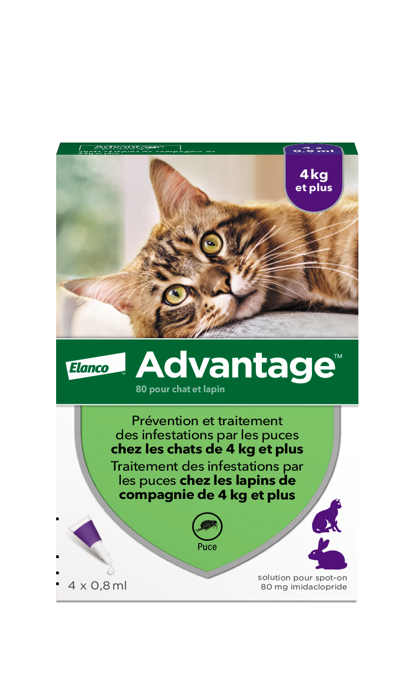 Advantage Pipetas anti-pulgas para gato e coelho Advantage
