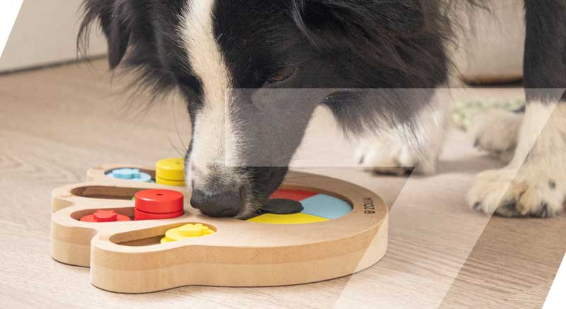 Detalle del juego de inteligencia para perros Zolia Clever Paw