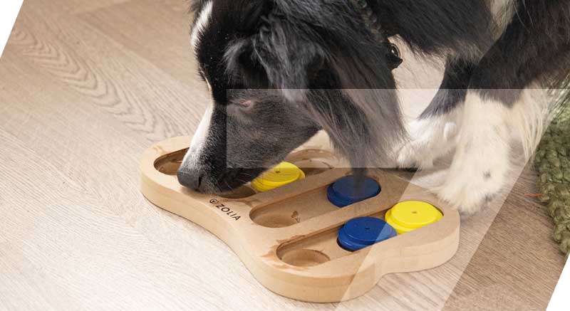 Un premio dentro del juego de inteligencia para perros Zolia Clever Bone