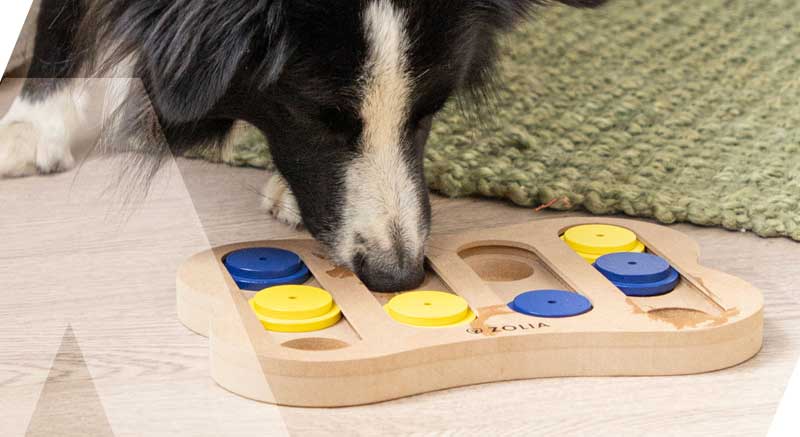 Un perro con el juego de inteligencia para perros Zolia Clever Bone