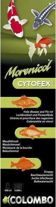 Morenicol Cytofex contre les infections bactériennes