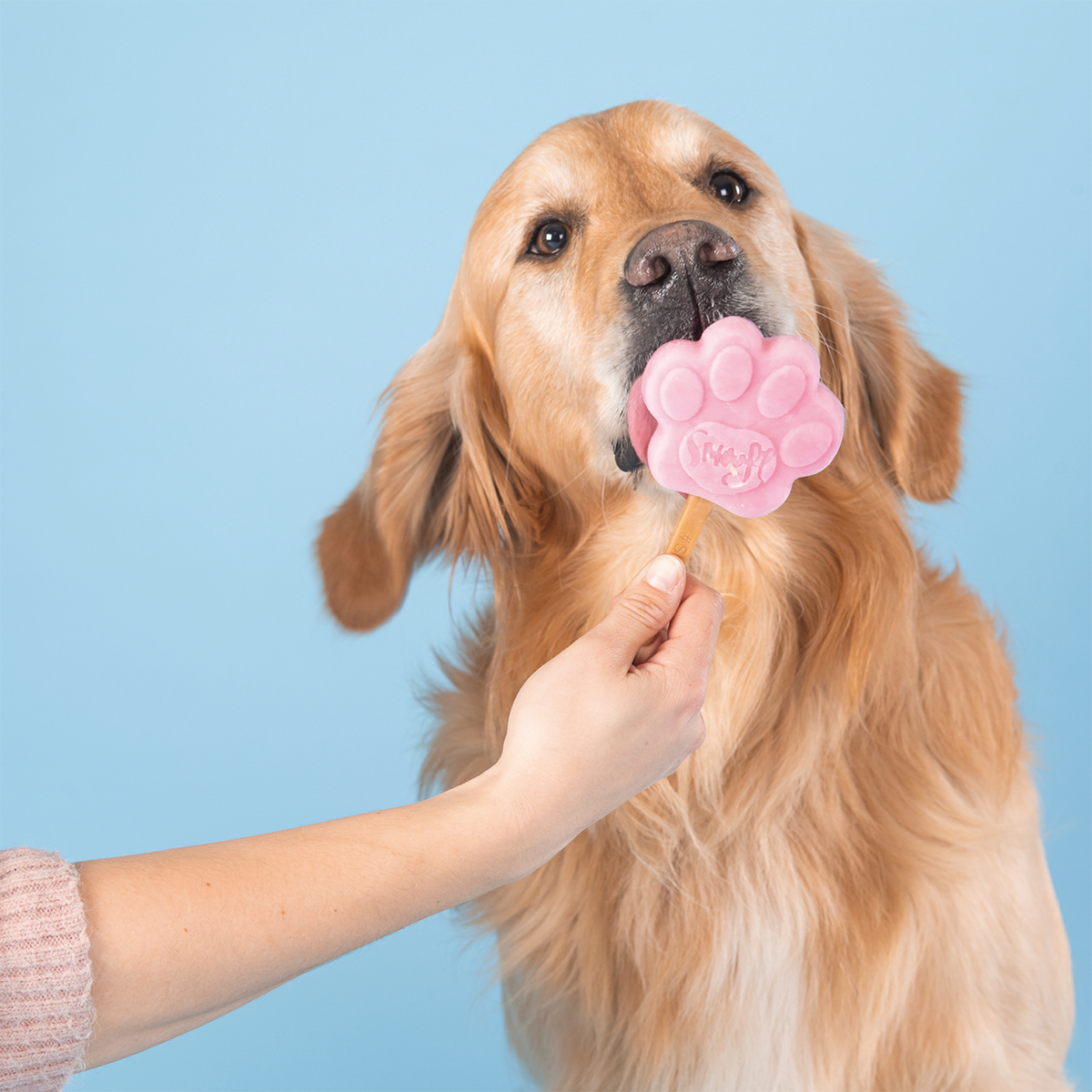 Mistura de gelado Smoofl para cães adultos - Morango