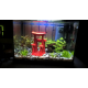 Aquarium-Aqua-20-LED---Kit-Poisson-Rouge_de_romain_1500118914586aba192effe7.64182096