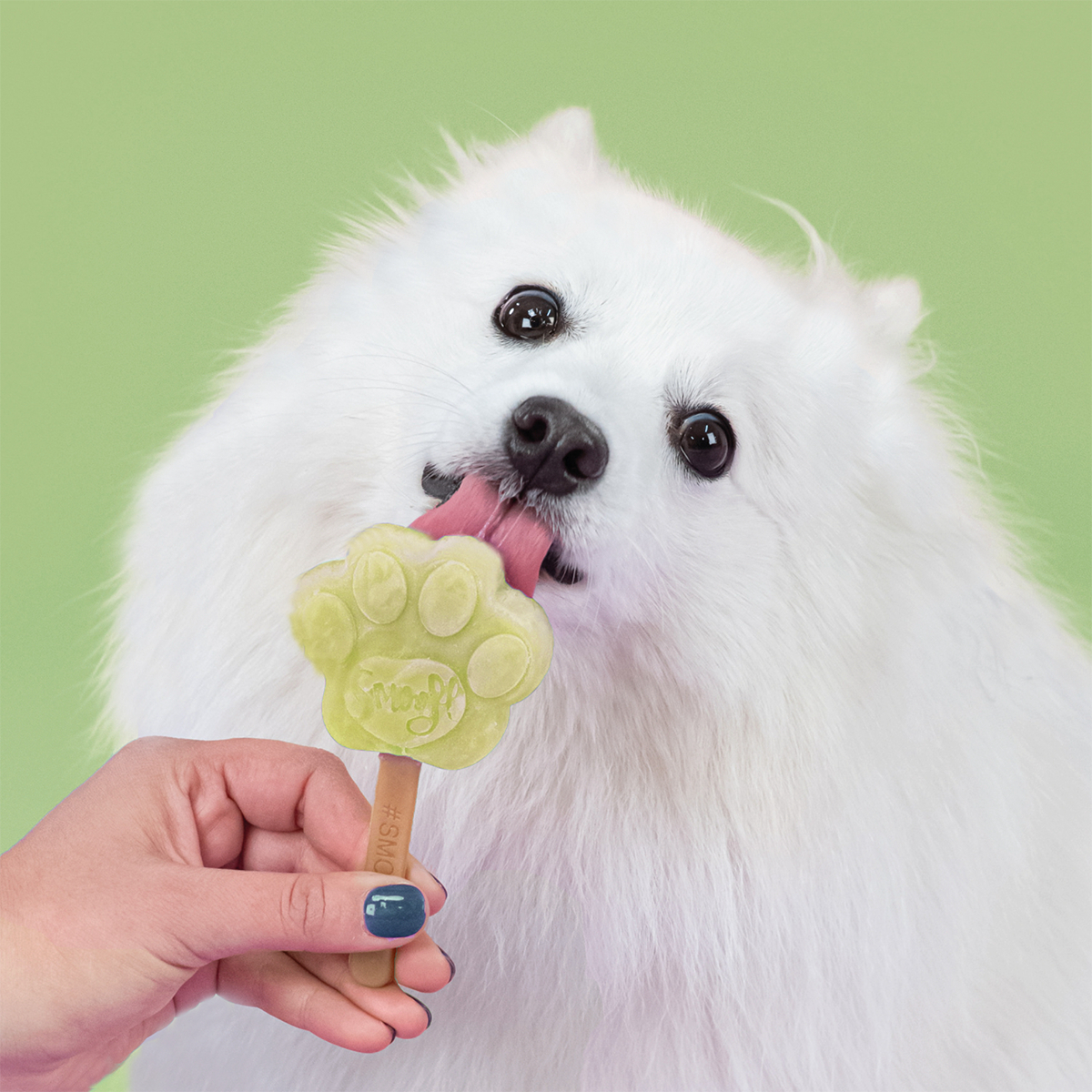 Smoofl Molde para helados para perros - Small