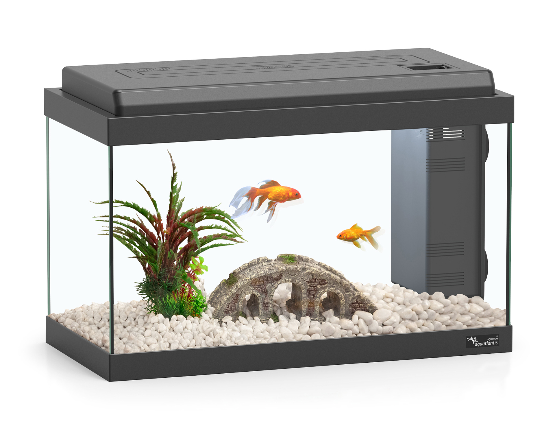 Aquatlantis Aquarium 40 LED BIO - Différentes couleurs