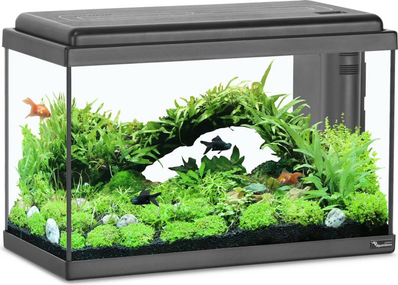 Aquatlantis Aquarium 50 LED BIO - Blanco o negro