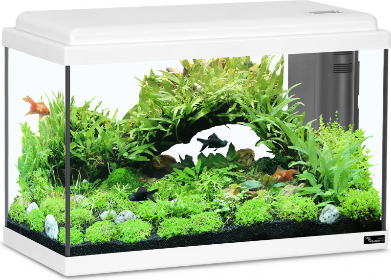 Aquatlantis Aquarium 50 LED BIO - Différentes couleurs
